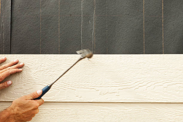 Best Siding Maintenance  in USA